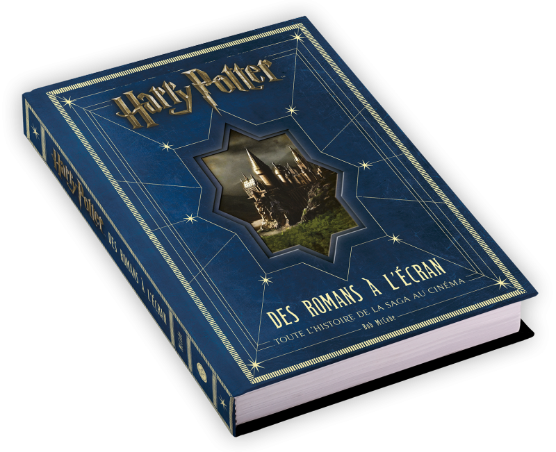 Harry Potter Des Romans à L écran