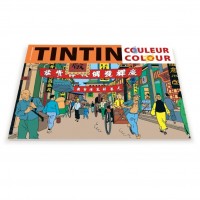 Album à colorier Tintin couleur (2024)