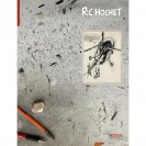 Ric Hochet L'ombre de Caméléon – VINT'PAGE 02 - principal