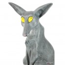 Le Chat du Rabbin - secondaire-1