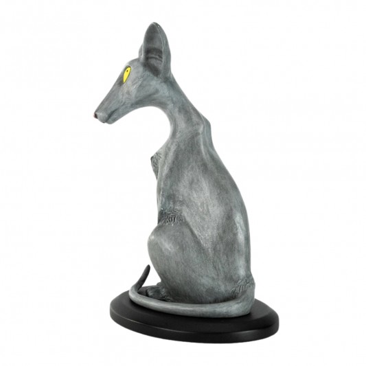 Le Chat du Rabbin - secondaire-4