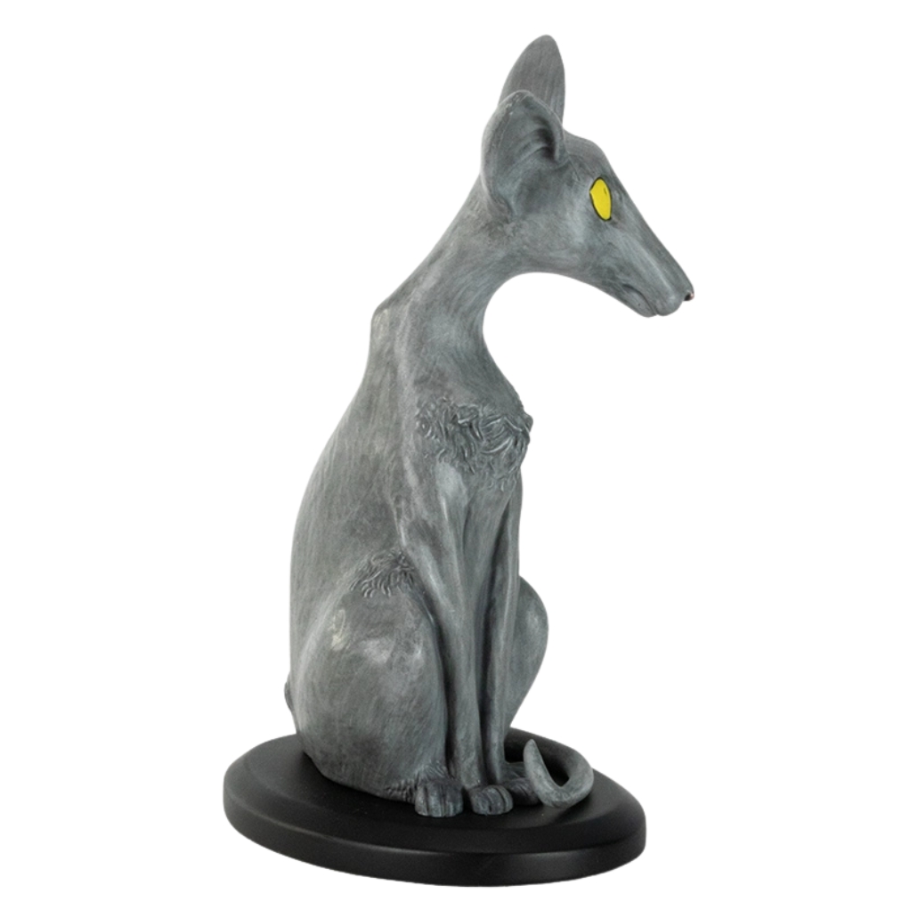 Le Chat du Rabbin - secondaire-5