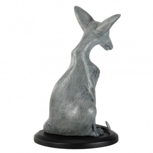 Le Chat du Rabbin - secondaire-7