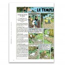 La grande aventure du journal Tintin version luxe - secondaire-7