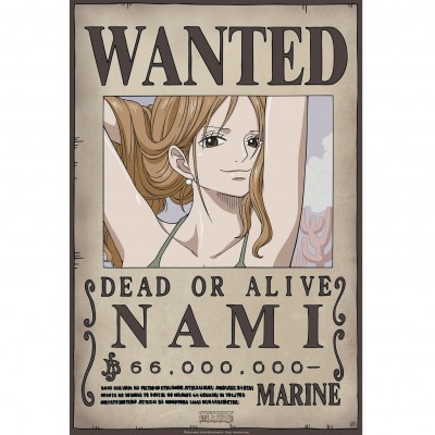 Pack 9 Posters Wanted : Équipage de Luffy - One Piece - secondaire-4
