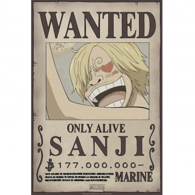 Pack 9 Posters Wanted : Équipage de Luffy - One Piece - secondaire-6