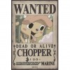 Pack 9 Posters Wanted : Équipage de Luffy - One Piece - secondaire-7
