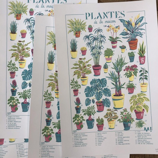 Sérigraphie Les plantes de la maison - secondaire-3