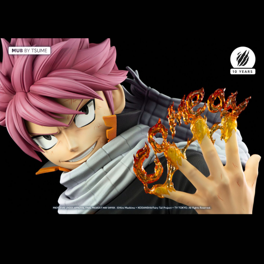 Natsu Dragnir - Tsume - secondaire-1