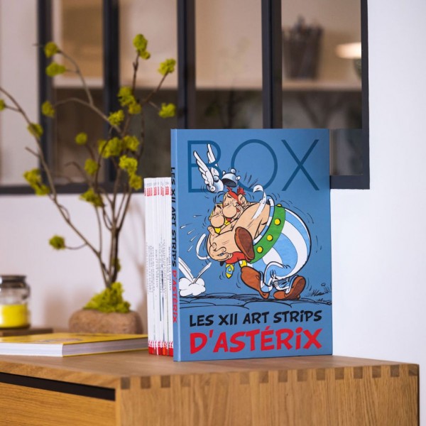 Box - 12 Asterix Art Strips