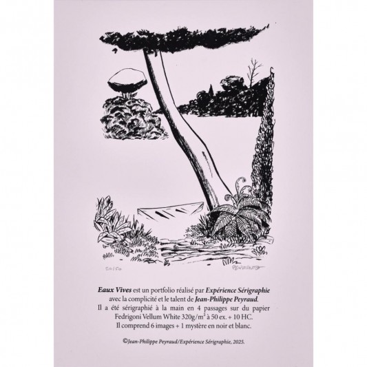 Portfolio - Eaux Vives - Jean-Philippe Peyraud - secondaire-2
