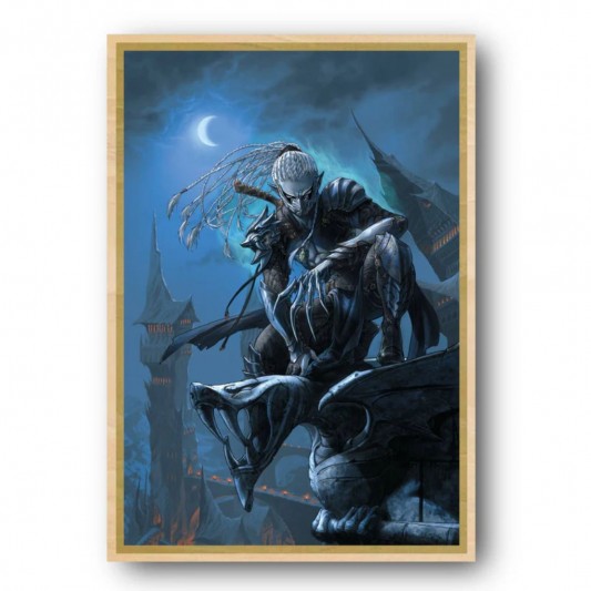 Tableau Le monde d'Aquilon 1 - Gaw'yn l'elfe noir - secondaire-3