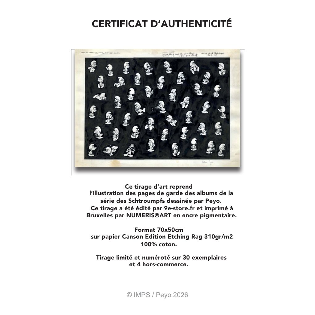 Digigraphie Les Schtroumpfs - secondaire-3