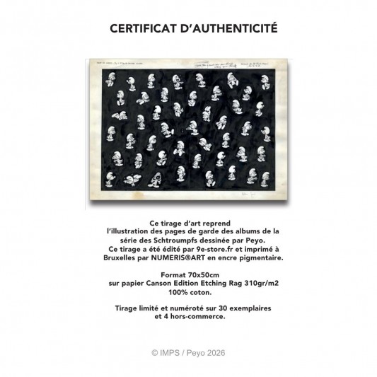 Digigraphie Les Schtroumpfs - secondaire-3