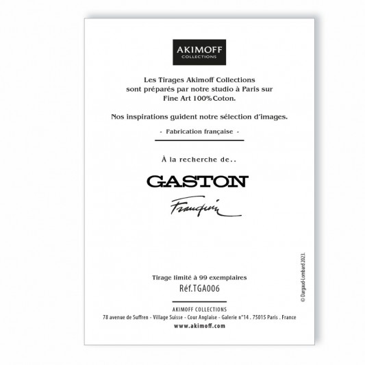 Tirage d'art Gaston - Solutions - Akimoff - secondaire-1