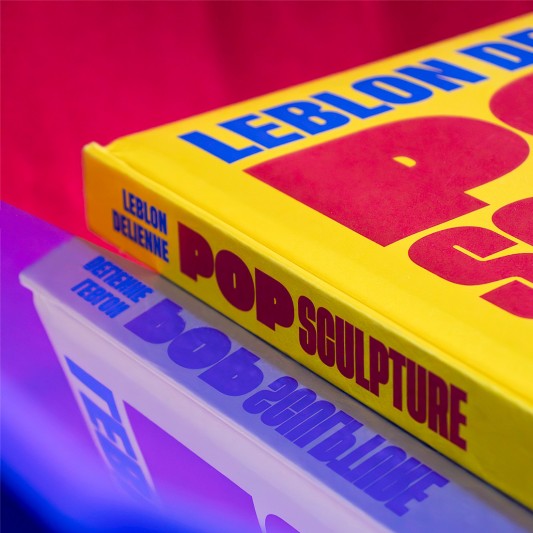 Livre Pop Sculpture - Leblon Delienne - Multi - Small - secondaire-7