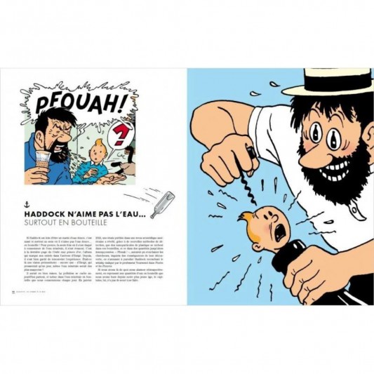 Magazine Géo Tintin, c'est l'Aventure - Hors-série - Haddock un homme à la mer - secondaire-3