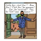 Figurine de collection Tintin, Haddock en veston bleu 13cm - secondaire-4