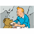 Puzzle Tintin - Tintin et l'ourson - 24 pièces + 1 poster - secondaire-1