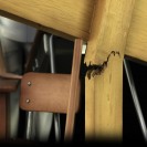 Statuette de Collection - GTO Edition limitée - échelle 1/6 - secondaire-9