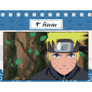 Une année 100% Naruto Shippuden - secondaire-2