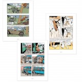 Les aventures de Tintin - Coffret 3 albums Tintin colorisés