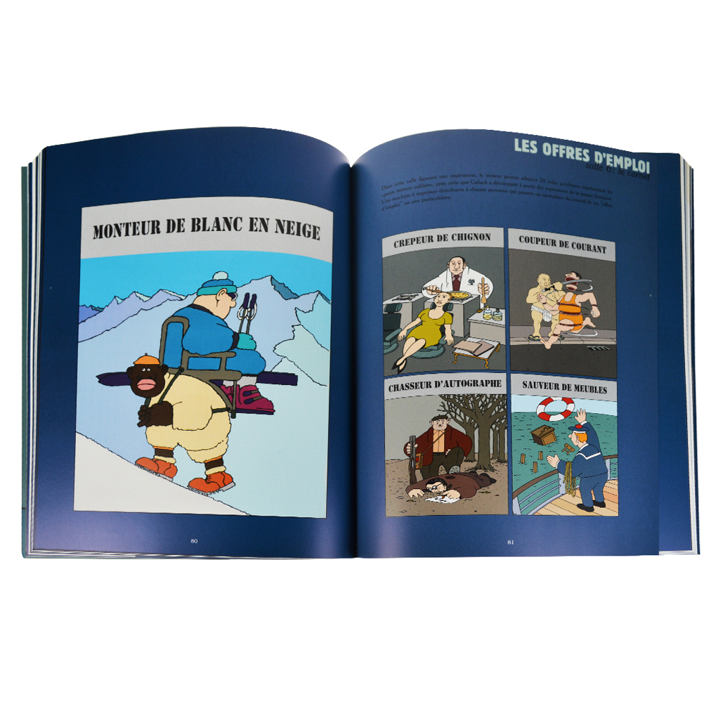 Le Chat S Expose F B Beaux Livres Chez Casterman A L Achat Sur 9ᵉ Store