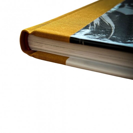 Spirou & Fantasio de Tome & Janry - Luna Fatale - secondaire-7