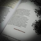 Tirage de luxe Spirou - Il y a un sorcier à Champignac - secondaire-12