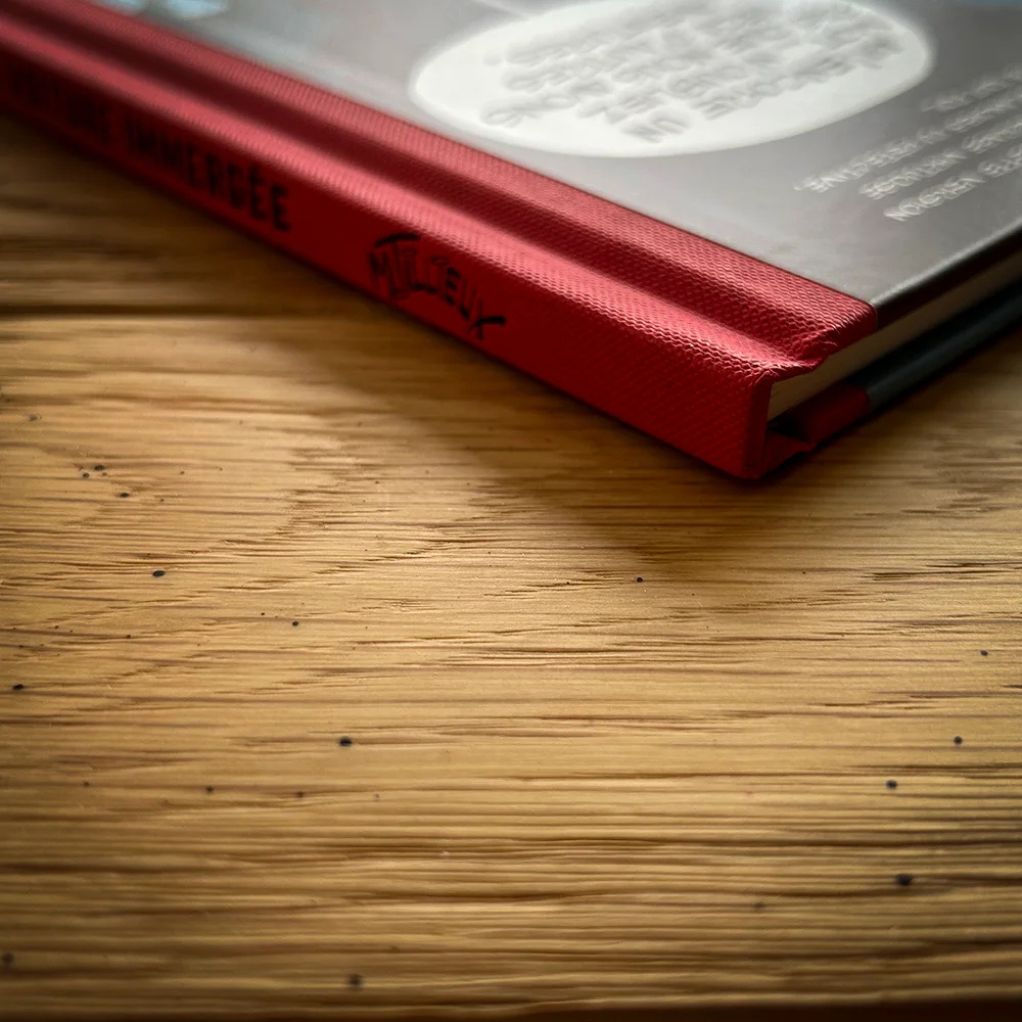 Tirage de luxe Gil Jourdan - La voiture immergée - secondaire-1