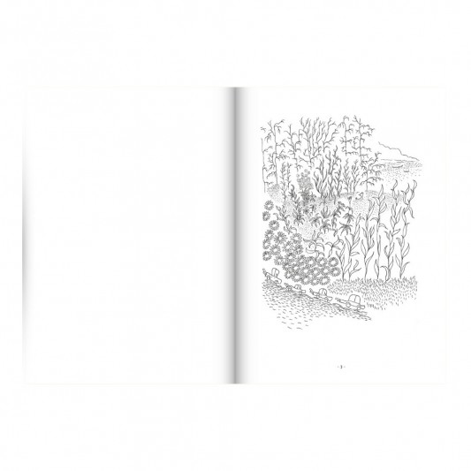 Tirage de luxe - Filer la ligne - Gabrielle Piquet - secondaire-3