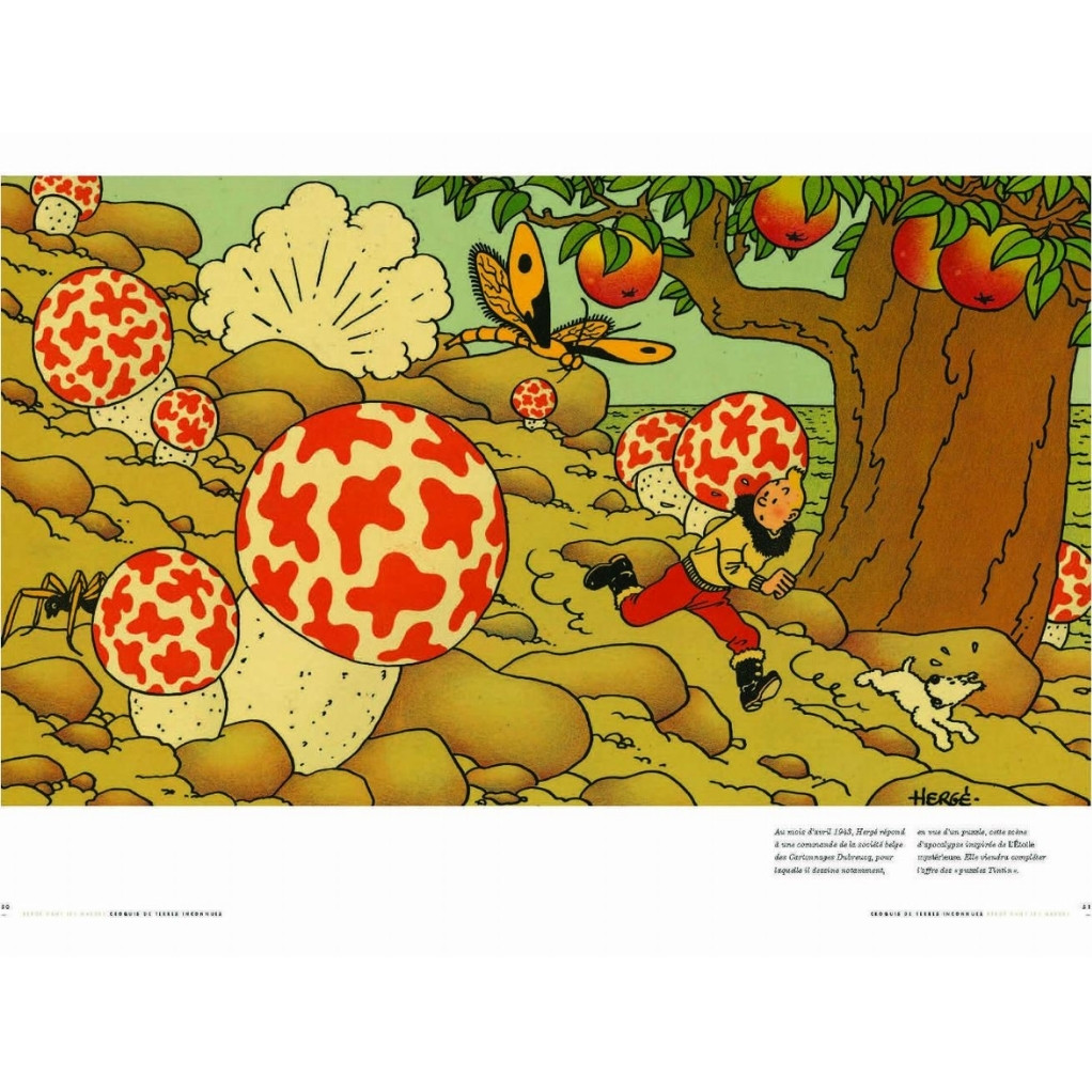 Magazine Géo Tintin C'est l'aventure n°23, Tintin et les pays imaginaires - secondaire-3