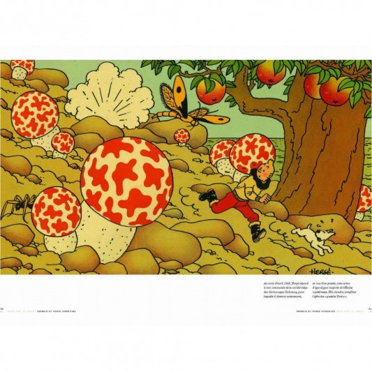 Magazine Géo Tintin C'est l'aventure n°23, Tintin et les pays imaginaires - secondaire-3