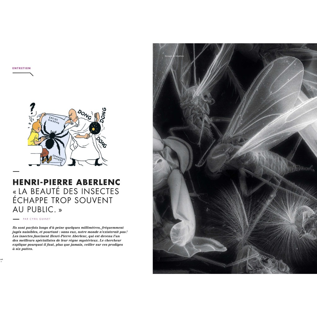 Magazine Géo Tintin C'est l'aventure n° 24 : Belgique, retour aux origines - secondaire-5