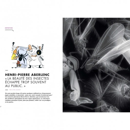 Magazine Géo Tintin C'est l'aventure n° 24 : Belgique, retour aux origines - secondaire-5