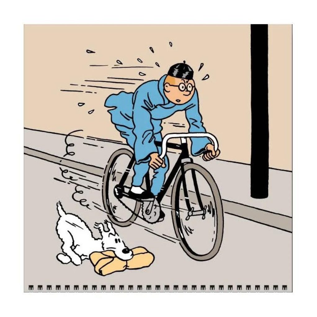 Calendrier carré Tintin 2025 - secondaire-1