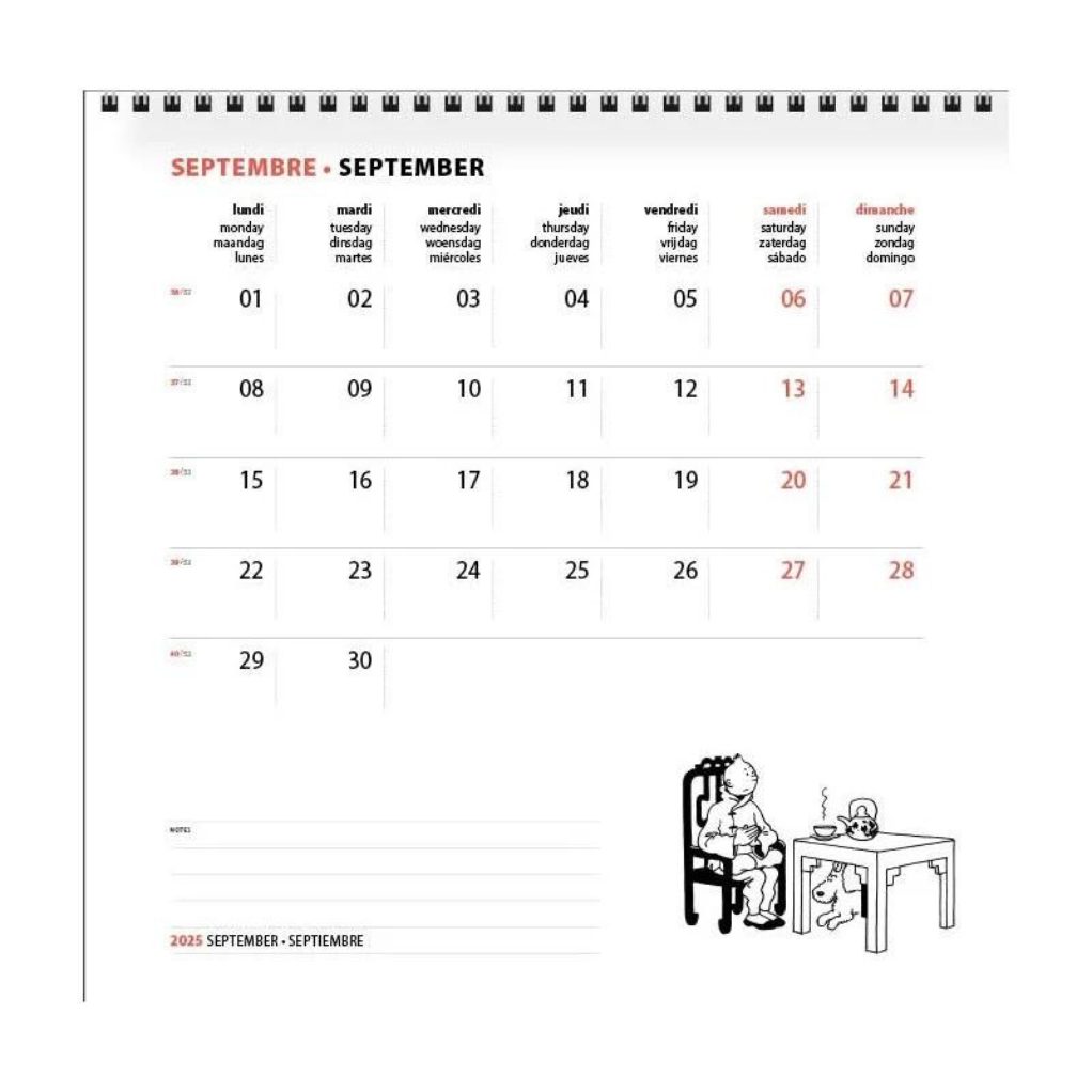 Calendrier carré Tintin 2025 - secondaire-2