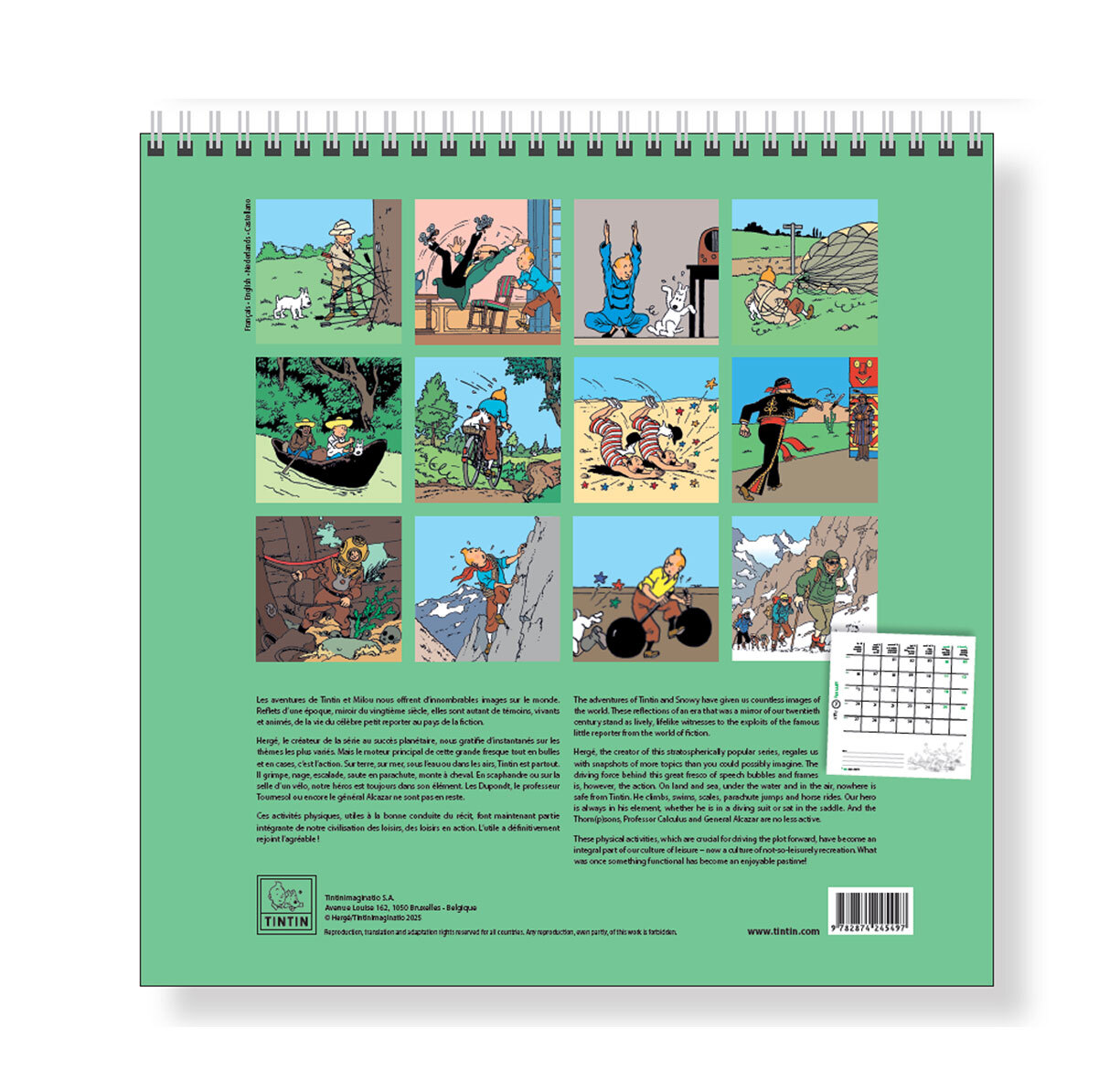 Grand calendrier mural Tintin - 2026 - secondaire-1