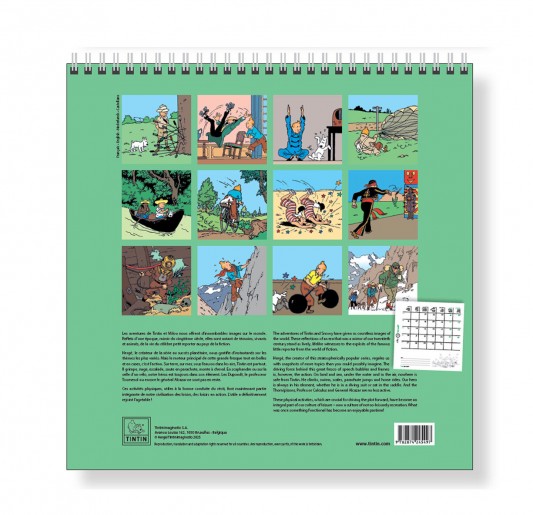 Grand calendrier mural Tintin - 2026 - secondaire-1