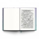 Lezards Rêveurs - secondaire-2