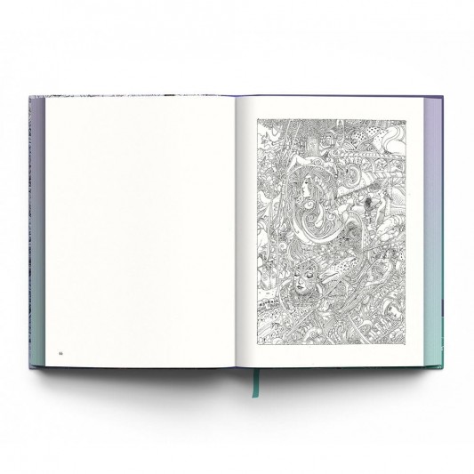 Lezards Rêveurs - secondaire-2