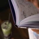 Lezards Rêveurs - secondaire-5