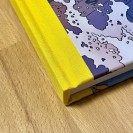 Lefranc - Opération Thor - secondaire-7