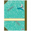 Les Dingodossiers - Tome 1 - secondaire-8