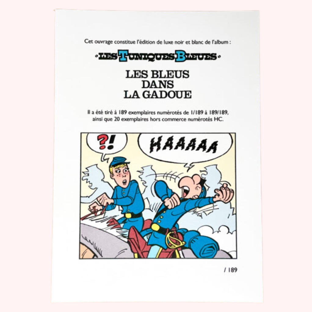 Les Tuniques Bleues - Les bleus dans la gadoue - secondaire-2