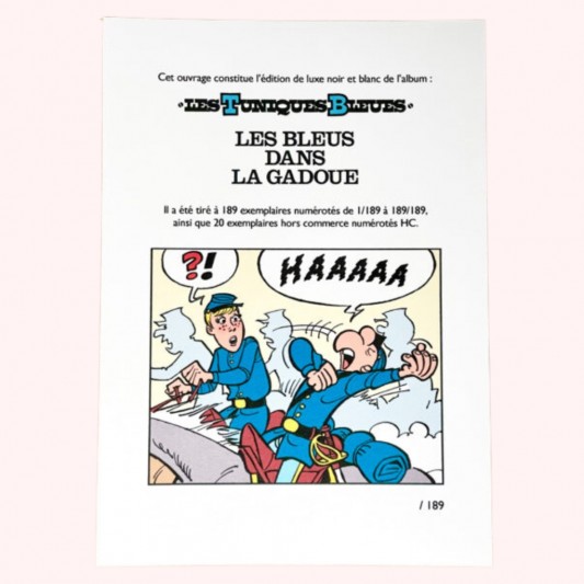 Les Tuniques Bleues - Les bleus dans la gadoue - secondaire-2