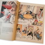 Tirage de luxe, Pierre Tombal hors série - petites chroniques illustrées du temps du Covid