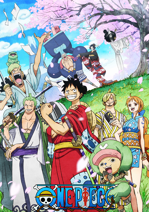 One Piece - EDITION EQUIPAGE - PARTIE 8: Coffret DVD / BluRay